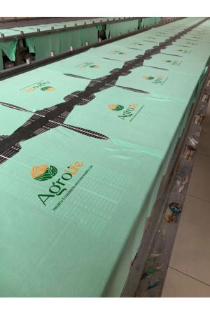 Áo thun quảng cáo - MSA010